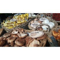 Menu Herfst Storm (uitgebreid) 
