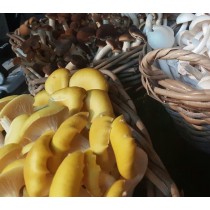 Menu Vegetarisch