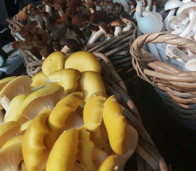 Menu Vegetarisch